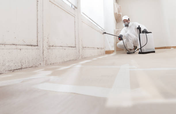 24/7 Emergency Basement Mold Remediation experts in Philipsburg, PA